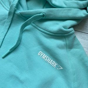 gymshark aqua hoodie